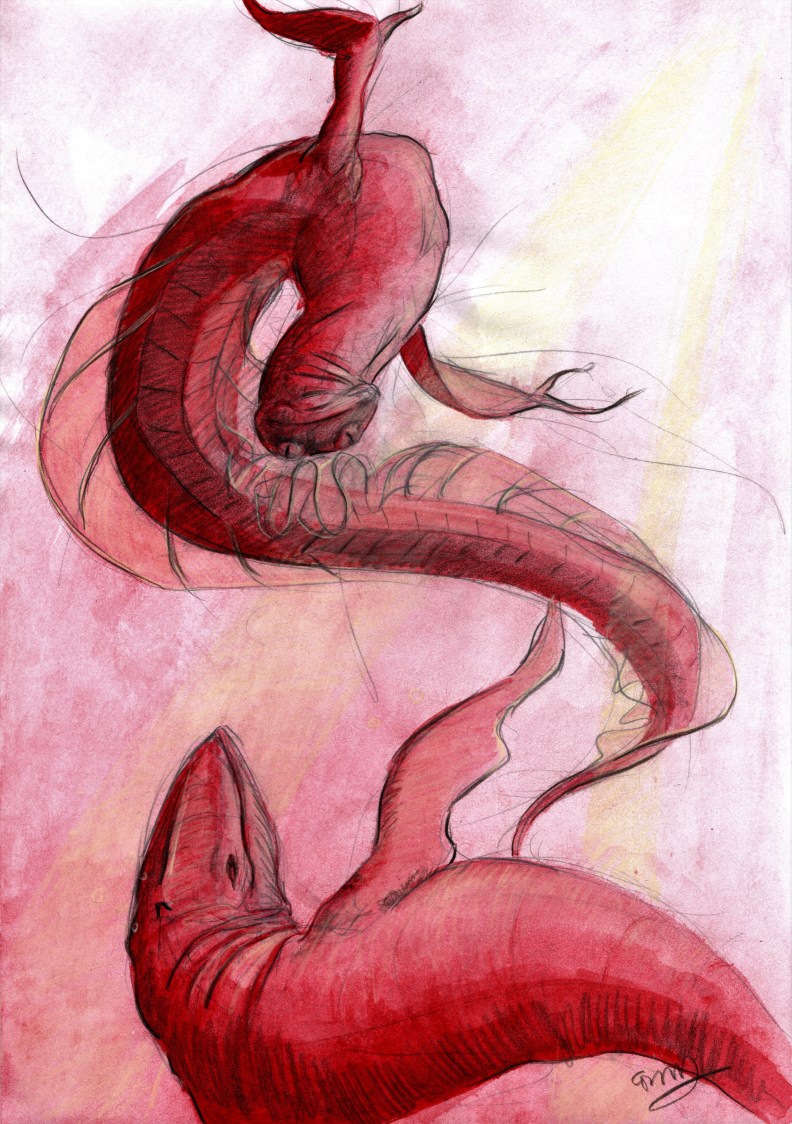 tekening watersalamander en walvis20200415_19265370 bewerkt